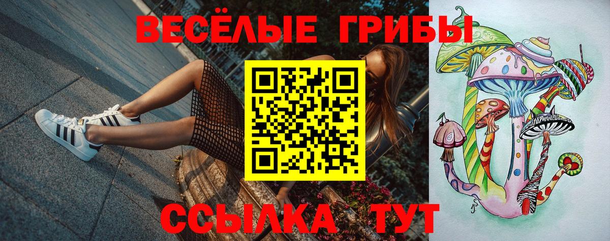Галлюциногенные грибы MAGIC MUSHROOMS  Вход с VPN  Ивантеевка 